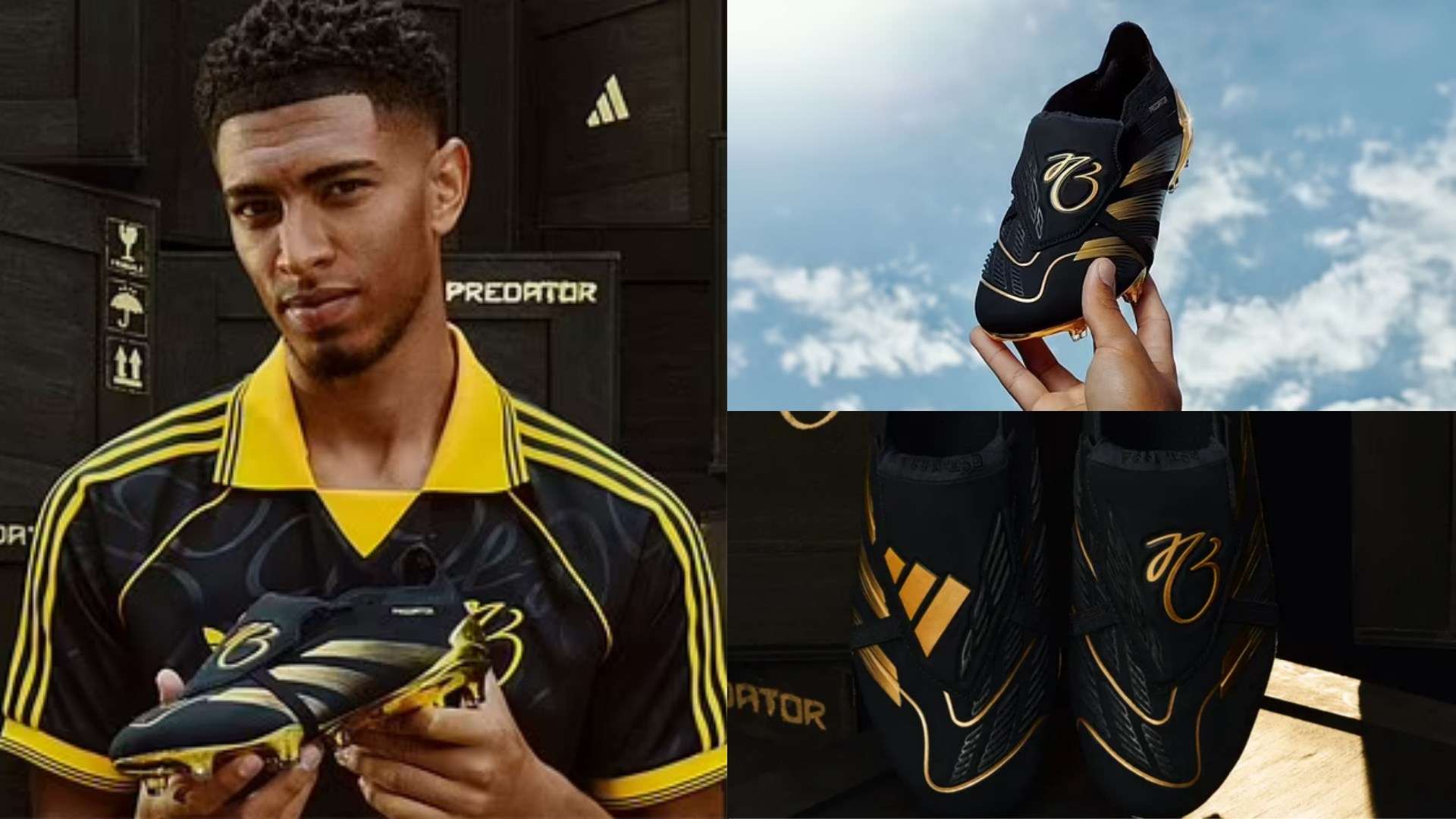 也能使其他 也能使其他